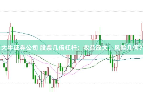 大牛证券公司 股票几倍杠杆：收益放大，风险几何？
