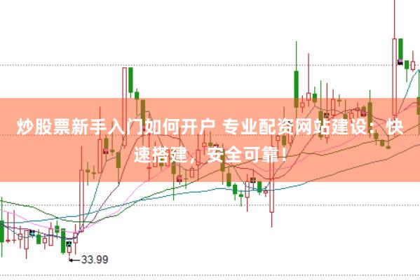 炒股票新手入门如何开户 专业配资网站建设：快速搭建，安全可靠！