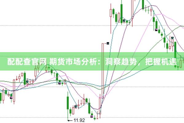 配配查官网 期货市场分析：洞察趋势，把握机遇