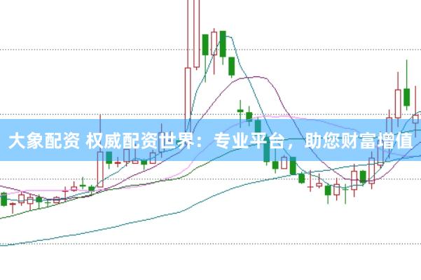 大象配资 权威配资世界：专业平台，助您财富增值
