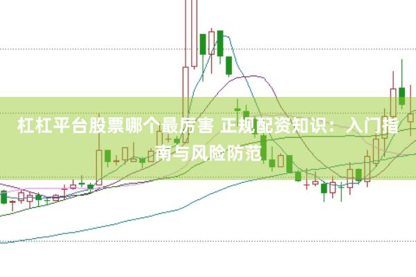 杠杠平台股票哪个最厉害 正规配资知识：入门指南与风险防范