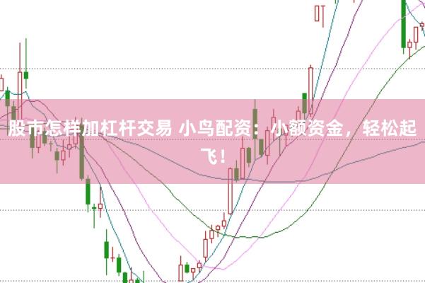 股市怎样加杠杆交易 小鸟配资：小额资金，轻松起飞！