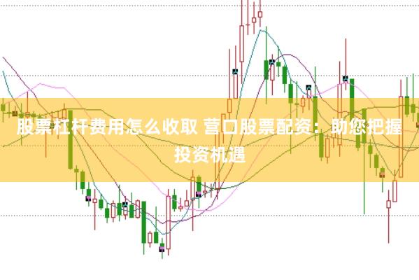股票杠杆费用怎么收取 营口股票配资：助您把握投资机遇