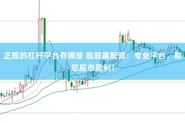正规的杠杆平台有哪些 股股赢配资：专业平台，助您股市盈利！