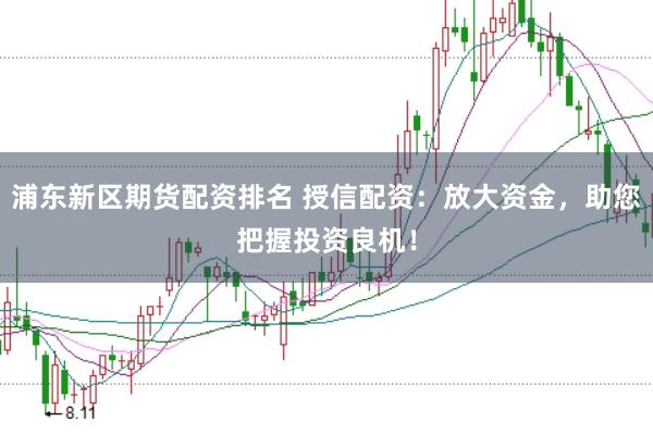 浦东新区期货配资排名 授信配资：放大资金，助您把握投资良机！