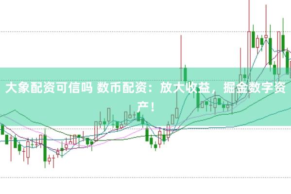 大象配资可信吗 数币配资：放大收益，掘金数字资产！