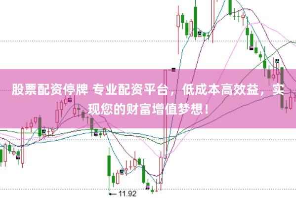 股票配资停牌 专业配资平台，低成本高效益，实现您的财富增值梦想！