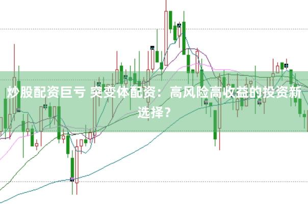 炒股配资巨亏 突变体配资：高风险高收益的投资新选择？