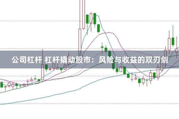 公司杠杆 杠杆撬动股市：风险与收益的双刃剑