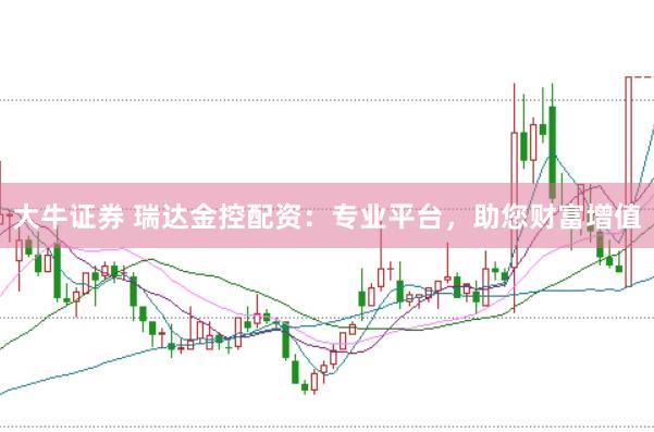 大牛证券 瑞达金控配资：专业平台，助您财富增值