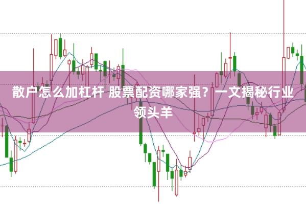 散户怎么加杠杆 股票配资哪家强？一文揭秘行业领头羊