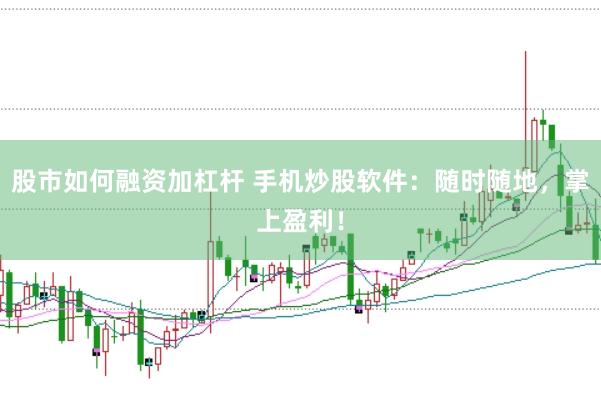 股市如何融资加杠杆 手机炒股软件：随时随地，掌上盈利！