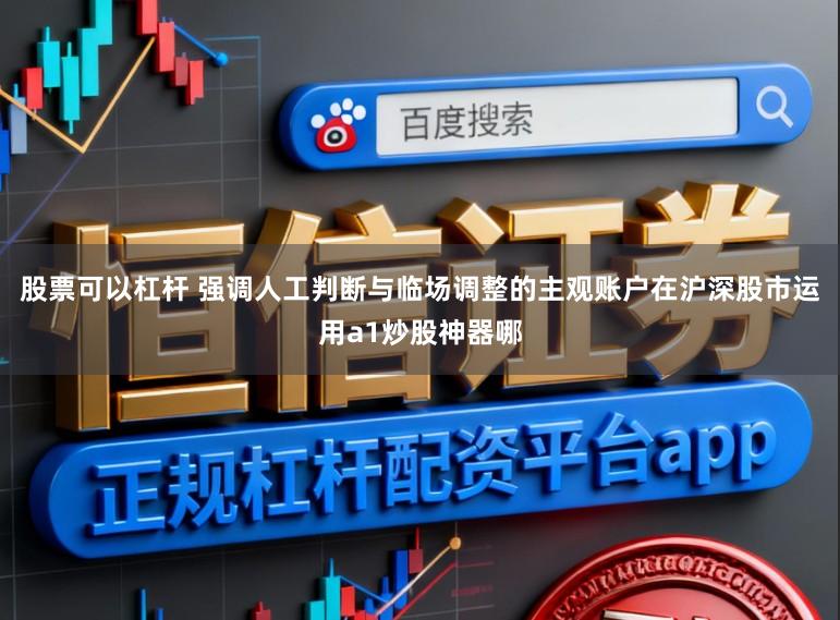 股票可以杠杆 强调人工判断与临场调整的主观账户在沪深股市运用a1炒股神器哪