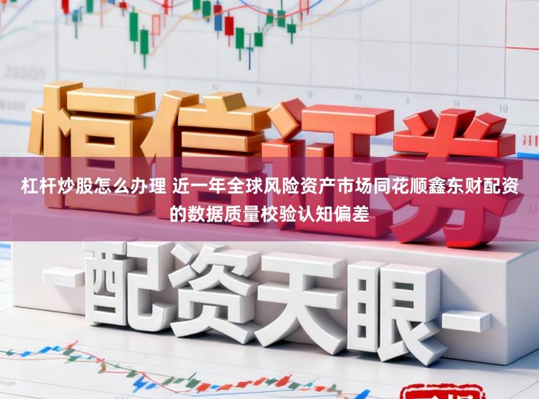 杠杆炒股怎么办理 近一年全球风险资产市场同花顺鑫东财配资的数据质量校验认知偏差