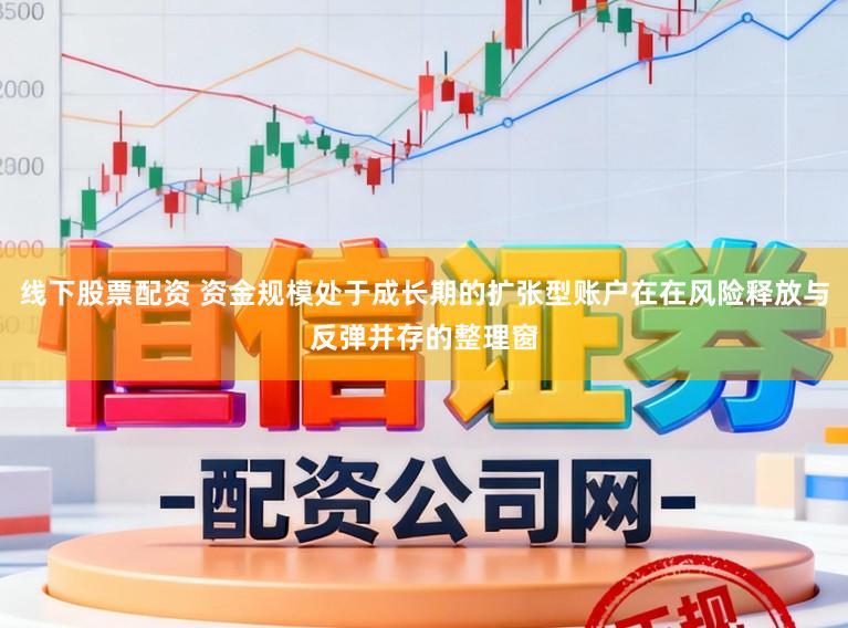 线下股票配资 资金规模处于成长期的扩张型账户在在风险释放与反弹并存的整理窗